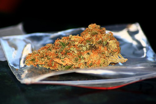 doja weed bud marijuana pot vic dorfman - Hip Hop And Why To Blog Drunk (The Honesty Effect)