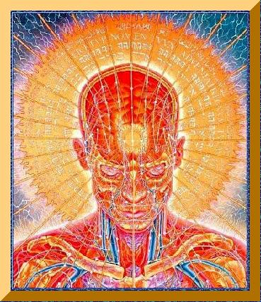 The Top 4 Most Useful Drugs psychic3 - The Top 4 Most Useful Drugs