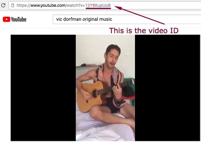 video id