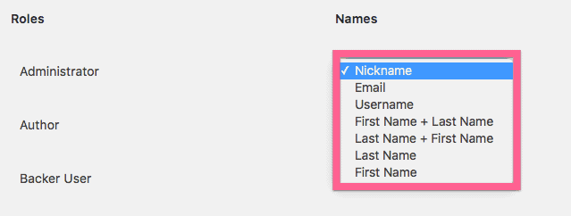 public display name options public display name options