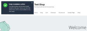Image 2018 07 25 at 3.55.05 PM 300x108 - [Tutorial] How to Install Hotjar Step by Step