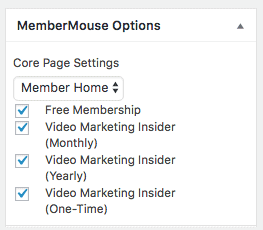 mm core pages - MemberMouse Review (2022)