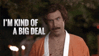 big deal - MemberMouse Review (2022)