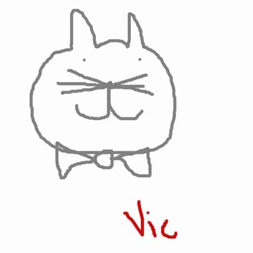 bowtiecat - What Is The Best WordPress Theme For My Membership Site in 2018?