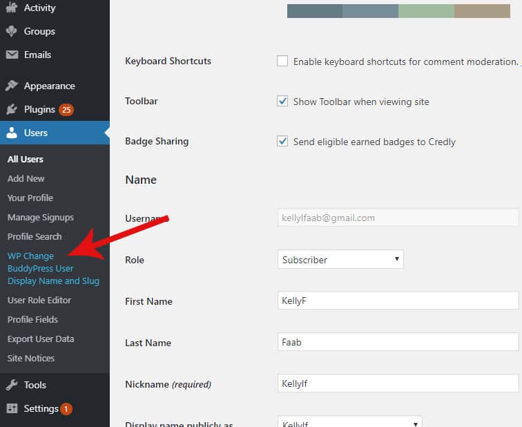 mf change bp user display slug - [WordPress Plugin] How to Change BuddyPress display name and slug