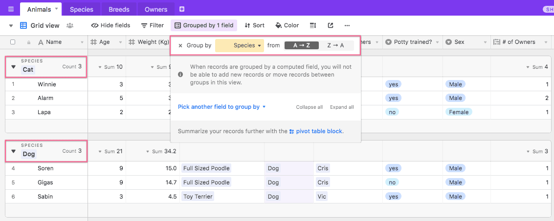 1 Image2525202019 08 11252520at2525208.41.50252520AM - Airtable Review: Why You NEED Airtable In Your Business [2023]